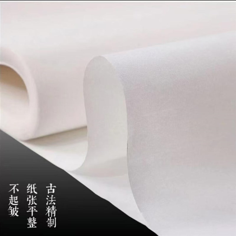 嘉州八大山人宣纸加厚檀皮参展书法国画创作专用纸初学者儿童毛笔