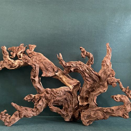 中大号沉木珊瑚流木鱼草缸爬宠箱造景装饰原生天然非杜鹃根紫柚木