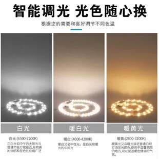 led吸顶灯f芯三色遥控灯盘卧室客厅改造灯板节能环形灯管替换光源