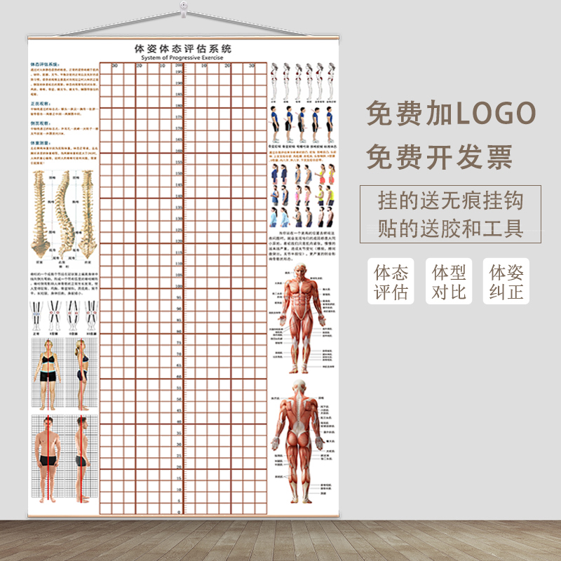 体态评估表挂式体测网格健身房瑜伽馆私教形体脊椎修复身体对比图