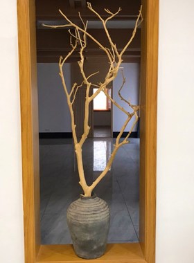 天然树枝树杈带小枝分枝干树枝装饰枯木艺术造景挂灯摆件花瓶造景