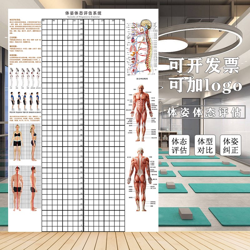 人体体态评估表健身房身体分析体测表墙贴瑜伽馆墙纸身体评估图
