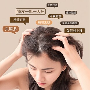 北洋物典梳子女气垫梳家用气囊按摩梳女士专用蓬松颅顶顺发不打结