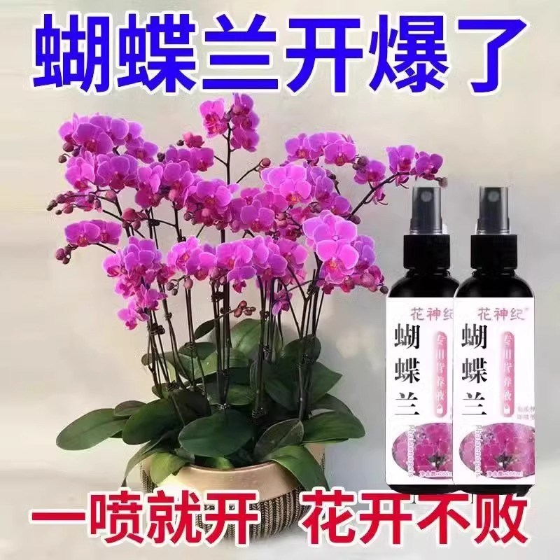 蝴蝶兰营养液爆箭促开花烂根黄叶防病害专用肥料免稀释