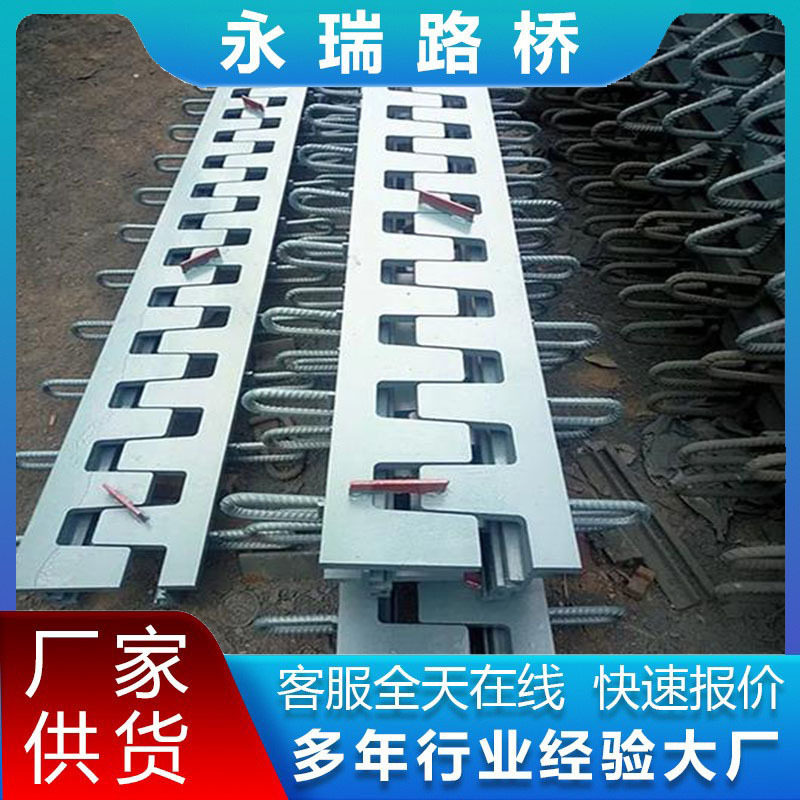 公路桥梁伸缩缝C型E型F型160型毛勒缝梳齿板伸缩装置模数式伸缩缝