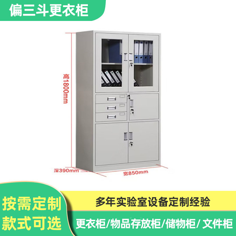 广东东莞供应偏三斗文件柜 档案柜 储物柜