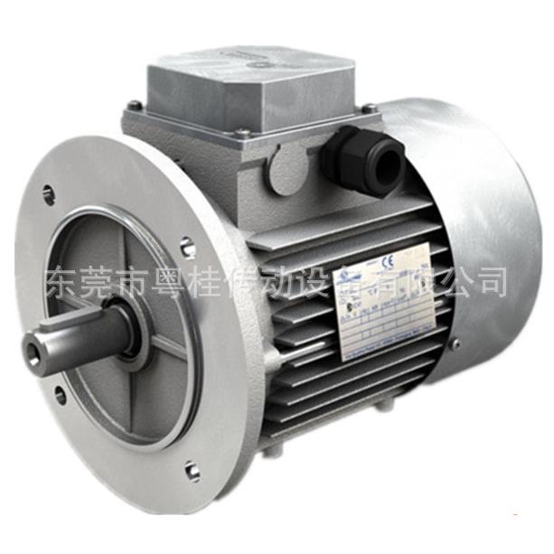 现货MOTOVARIO摩多利三相异步刹车电机T63B20.25KWB3/B5/B14