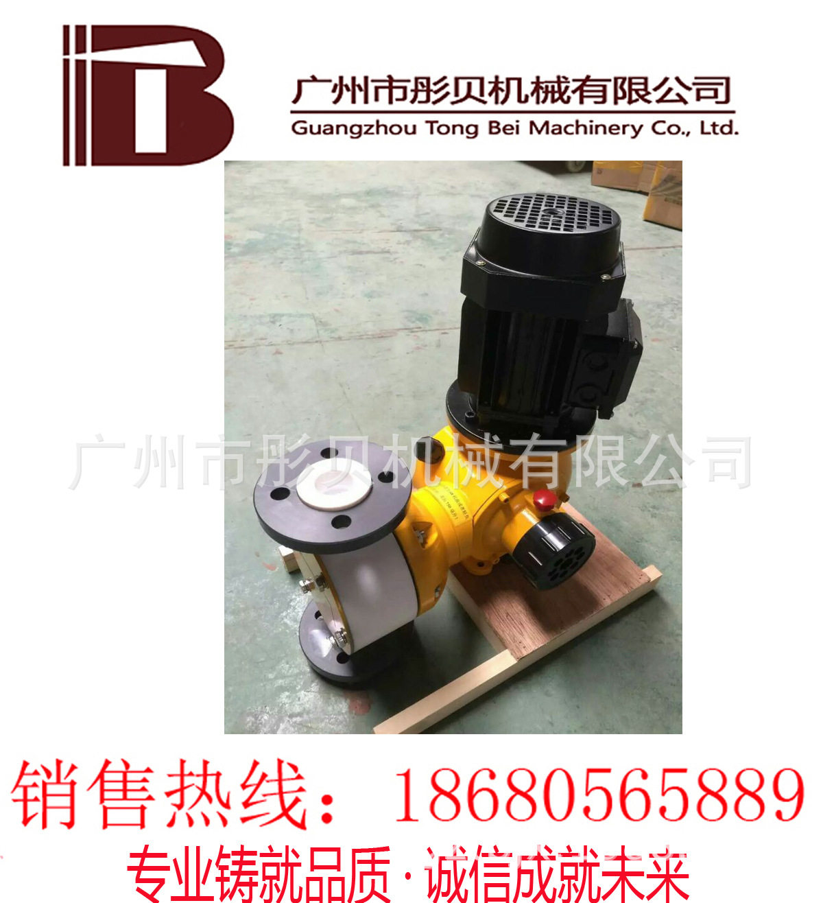 广东湛江PTFE隔膜计量泵 GM 30/1.0 机械隔膜式计量泵