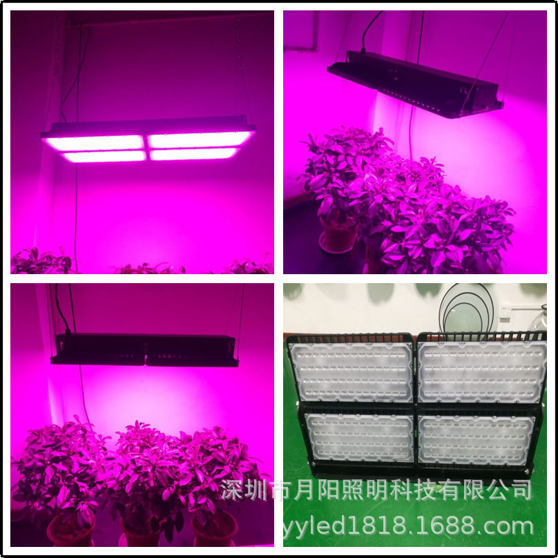 800W-5050正方厚料投光灯外壳
