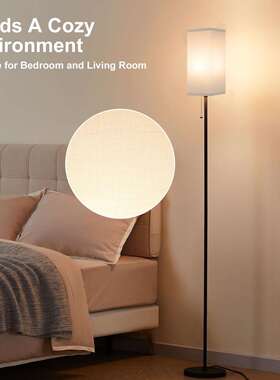 ebay爆款落地灯客厅卧室拉线开关立式书房阅读灯极简氛围灯