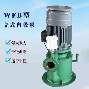 65WFB立式 化工泵耐高温防腐排污泵 无密封自控自吸泵250WFB自吸式