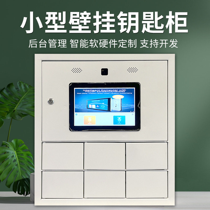 小型壁挂智能指纹刷卡钥匙柜