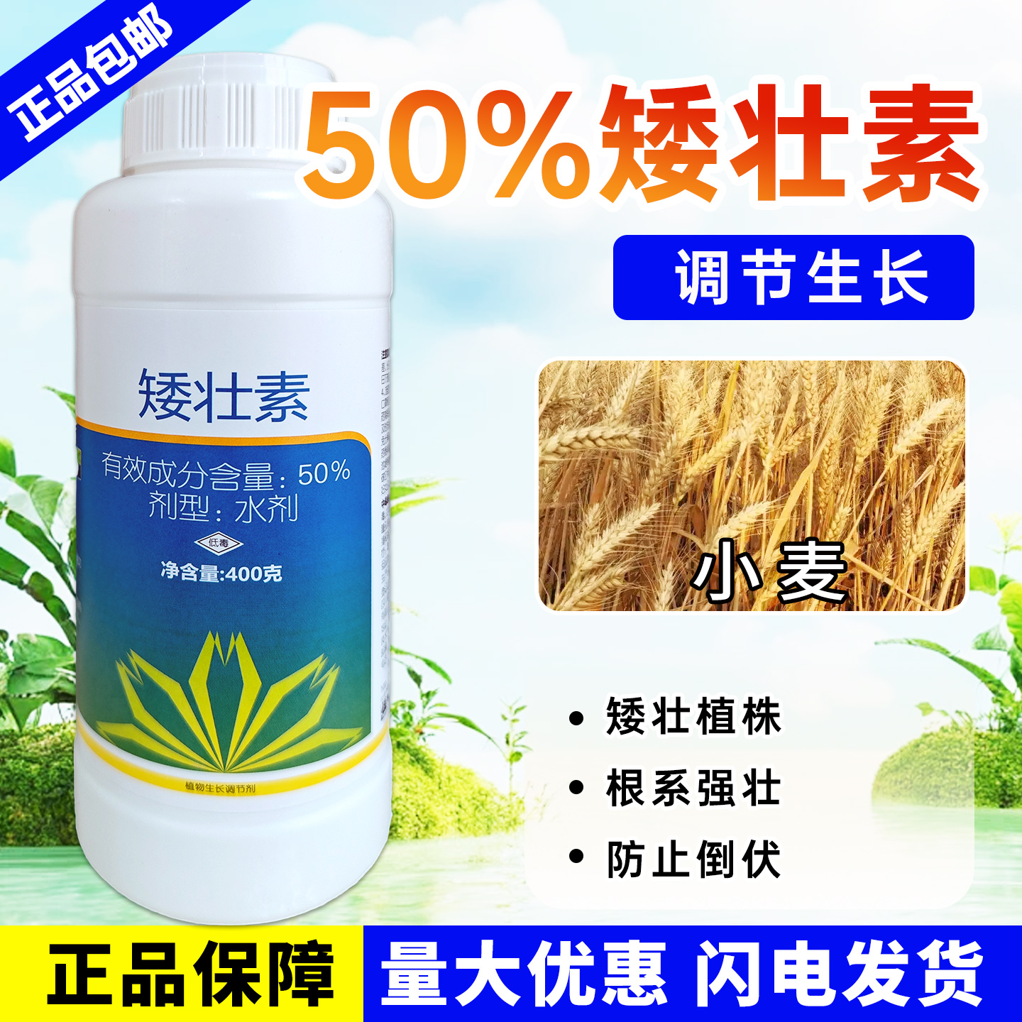 50%矮壮素小麦控旺增产调节剂