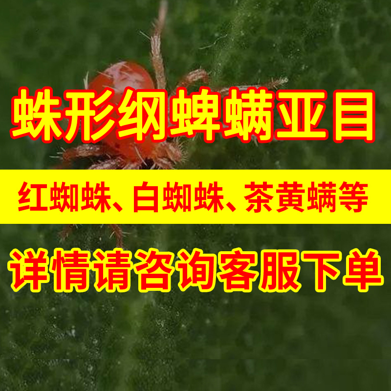 sc红蜘蛛二斑叶螨朱砂叶螨白蜘蛛茶黄螨乙唑螨腈联苯肼酯乙螨唑