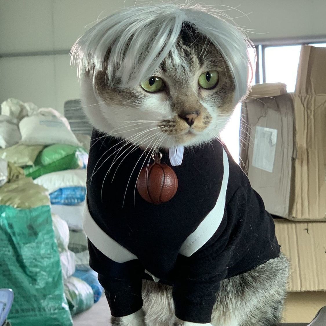 假发套猫咪狗狗甩不掉COS发饰道具可爱搞笑宠物波波头饰