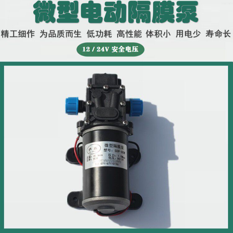 萨当微型隔膜泵 电动高压洗车水泵 12V60W直流 自吸 智能型80W24V