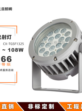 led投光灯户外防水9W18W36W72W108W照树灯夜景亮化圆形彩色投光灯