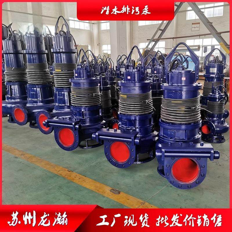 苏州龙瀚污水泵潜水排污泵 WQ型无堵塞大流量潜污泵 污水提升泵