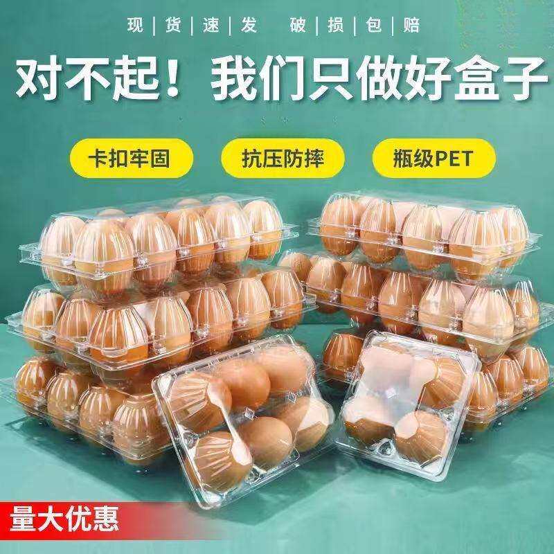 塑料透明防震鸡蛋托中号多种规格一次性土鸡蛋包装盒直销
