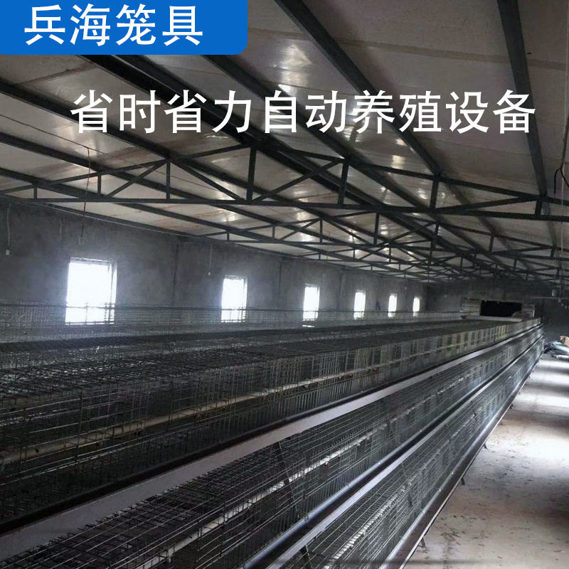 养殖场蛋鸡笼自动化养鸡设备使用寿命长蛋鸡笼省时省力品质保障