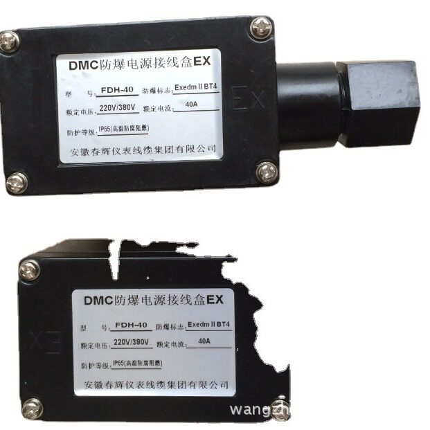 防爆电源接线盒电热带接线用FDH-2 FDH-40