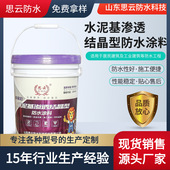 水泥基渗透结晶型桥梁隧道水利混凝土基面水泥地面修补漏防水涂料