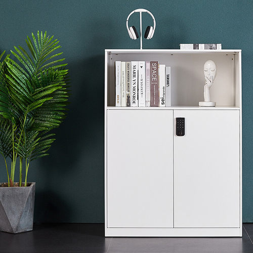 密码文件柜矮柜电子保密柜铁皮柜钢制办公柜带锁储物柜办公室低柜