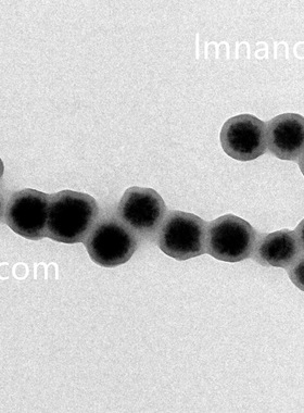 5um 磁性聚苯乙烯微球