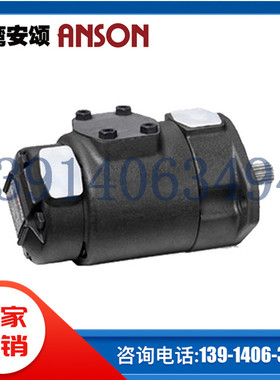 IVP41-50-5/7/8/10/11/14-F-R-1/86AA/BB/CC/DD-10台湾ANSON安颂