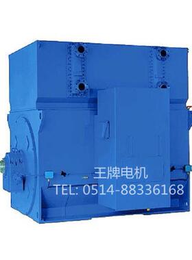直销高压电机YRKS8001-102000KW6000V600rpm