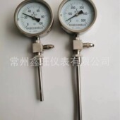 WSS 481万向型远传双金属温度计 径向型远传双金属温度表