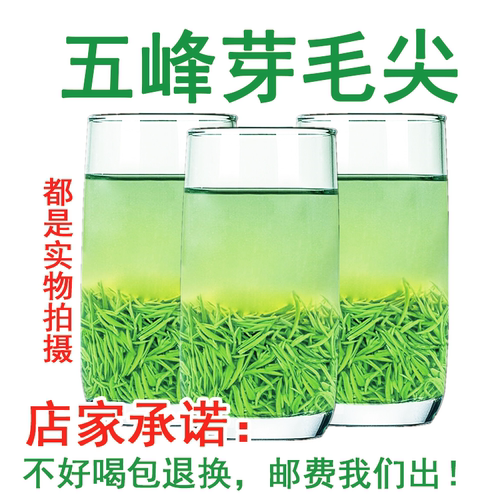 【送方杯】五峰芽毛尖2026新茶湖北特产明前特级嫩芽毛尖绿茶500g