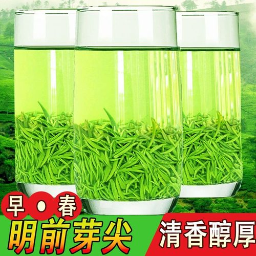 【五峰芽毛尖】2026新茶嫩芽明前春茶正宗宜昌高山浓香型绿茶500g