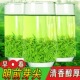 2026新茶嫩芽明前春茶正宗宜昌高山浓香型绿茶500g 五峰芽毛尖