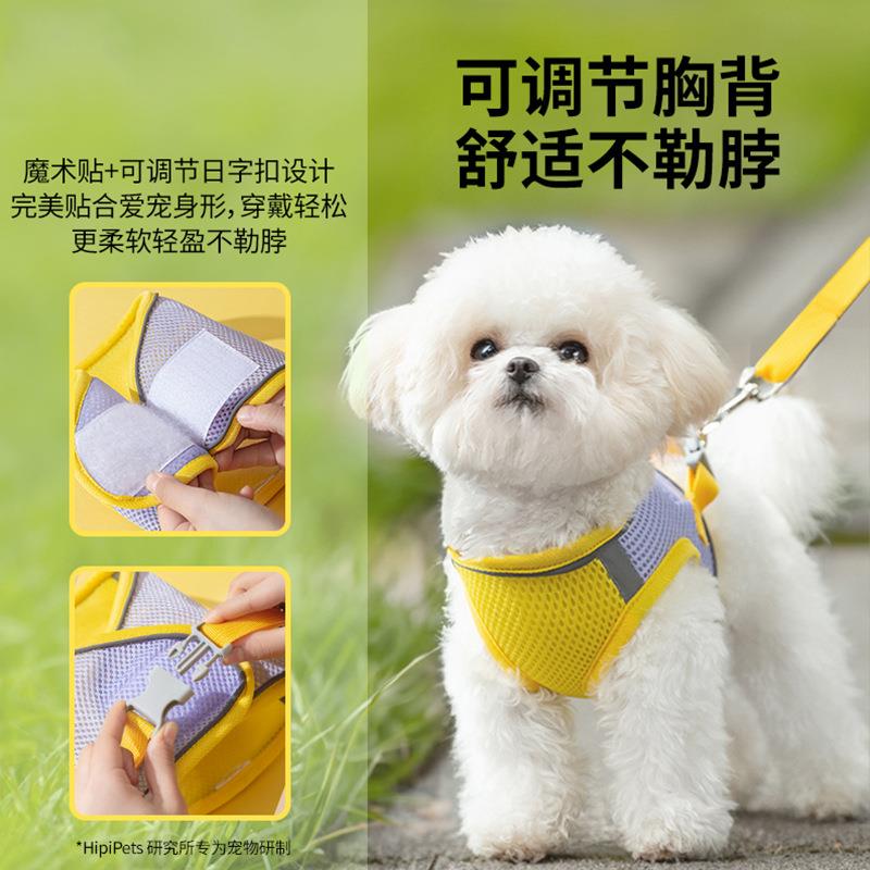 直销新款夏日拼色透气网眼牵引绳遛狗绳狗绳狗链子猫咪狗狗宠物背