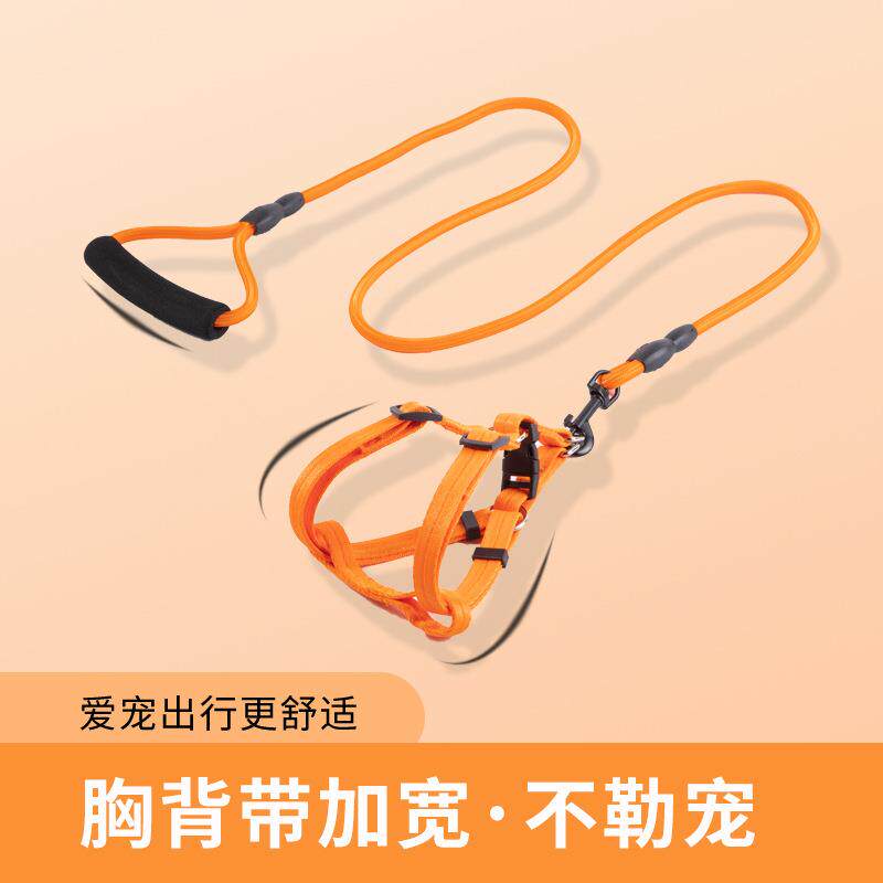 直销新款狗牵引绳大中小型犬幼犬遛狗绳狗链子胸背带项圈泰迪金毛
