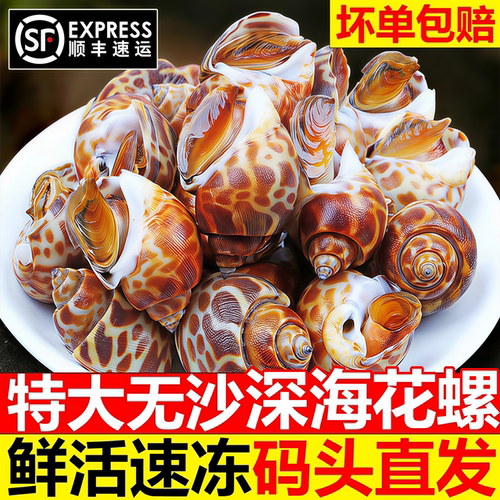 特大花螺鲜活冷冻东风螺顺丰