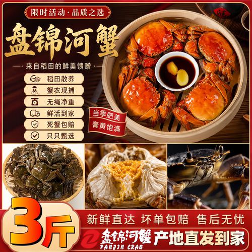 河蟹盘锦河蟹公蟹鲜活蟹六月黄北方稻田蟹大闸蟹螃蟹溜达蟹礼盒