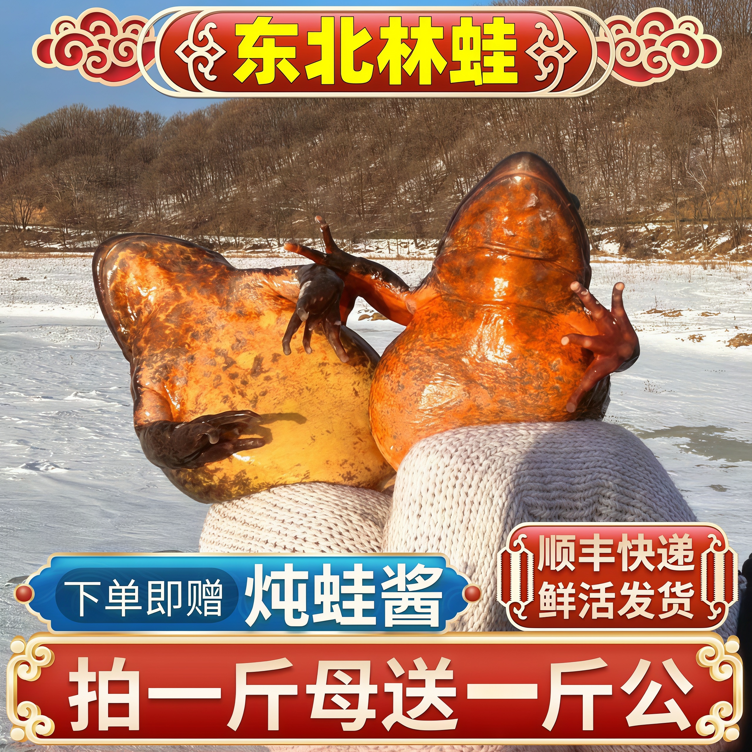 东北林蛙2026年新货蛤蟆东北特产雪蛤林蛙冷冻母豹子哈什蟆