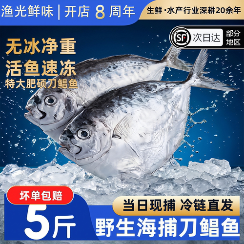 新鲜冷冻刀鲳鱼海捕非金鲳顺丰