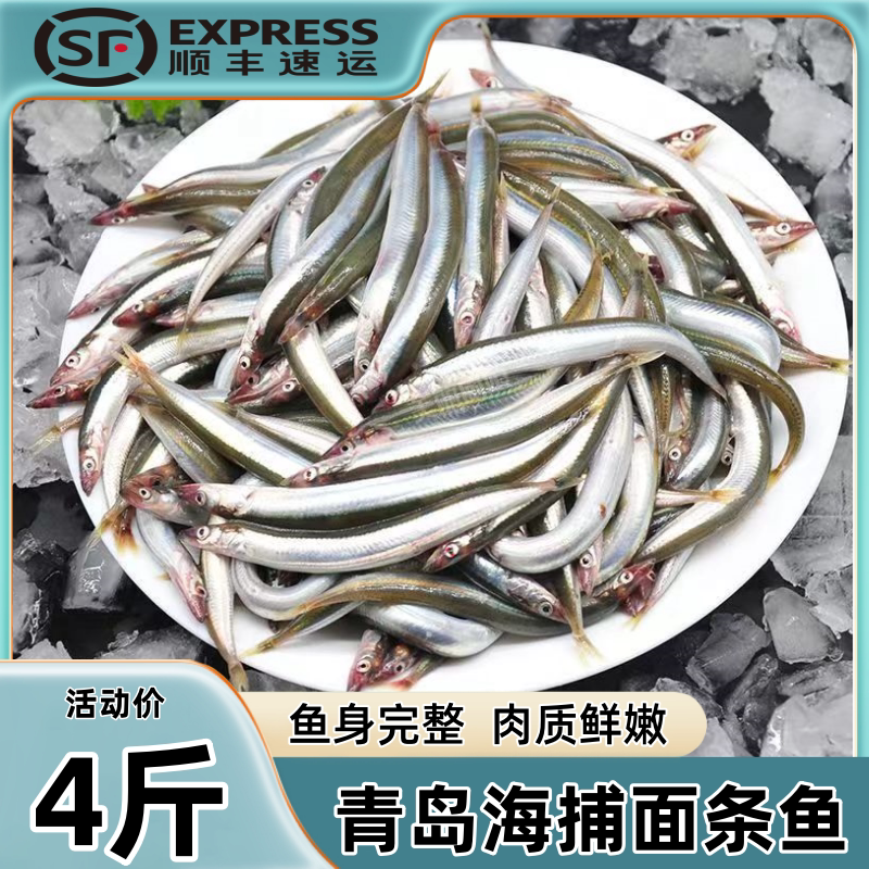 新鲜面条鱼鲜活冷冻海鱼海鲜沙丁鱼小银鱼小青鱼玉筋鱼泥鳅鱼
