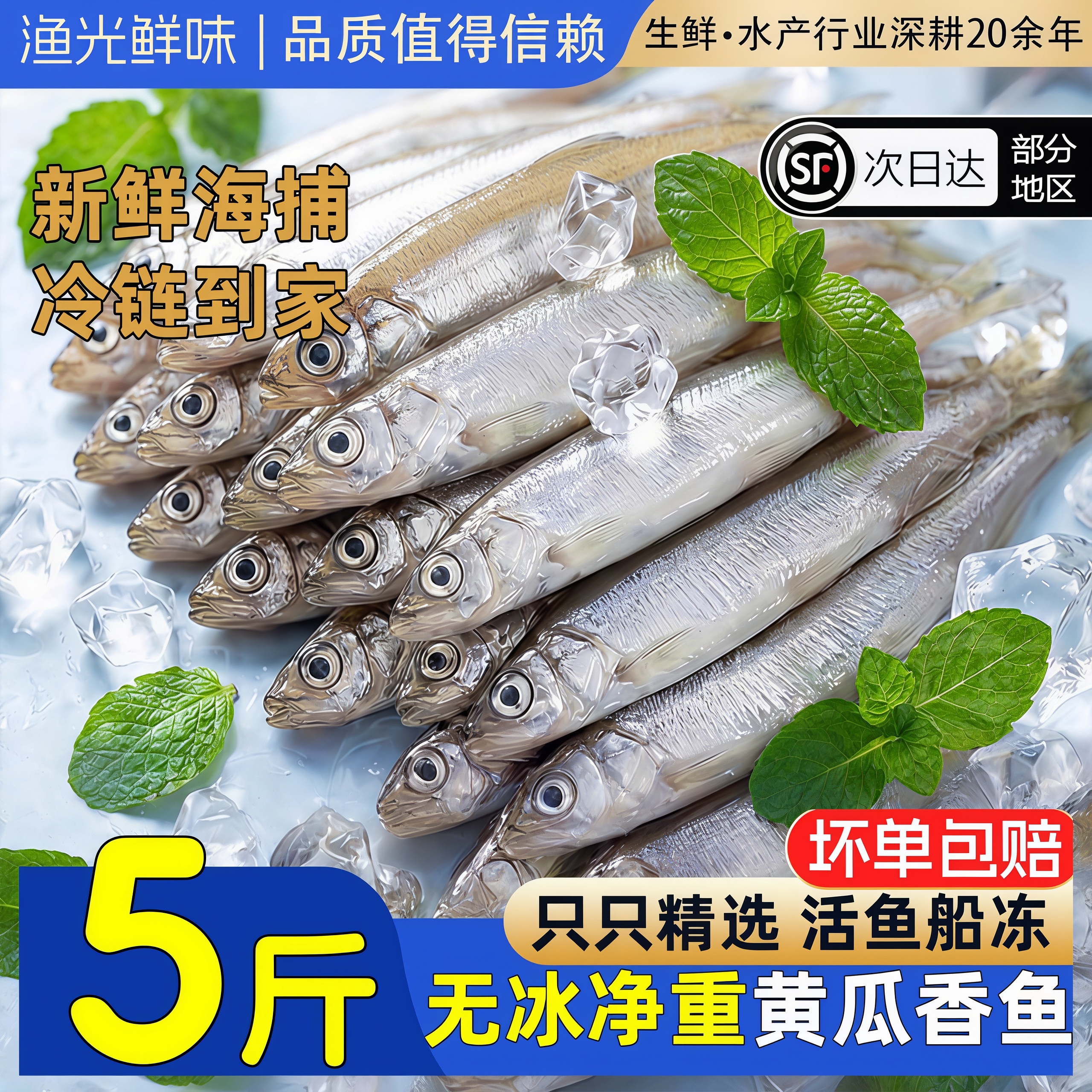 黄瓜香小鱼新鲜现捕活鱼速冻公鱼池沼公鱼东北特产河鱼海鲜水产