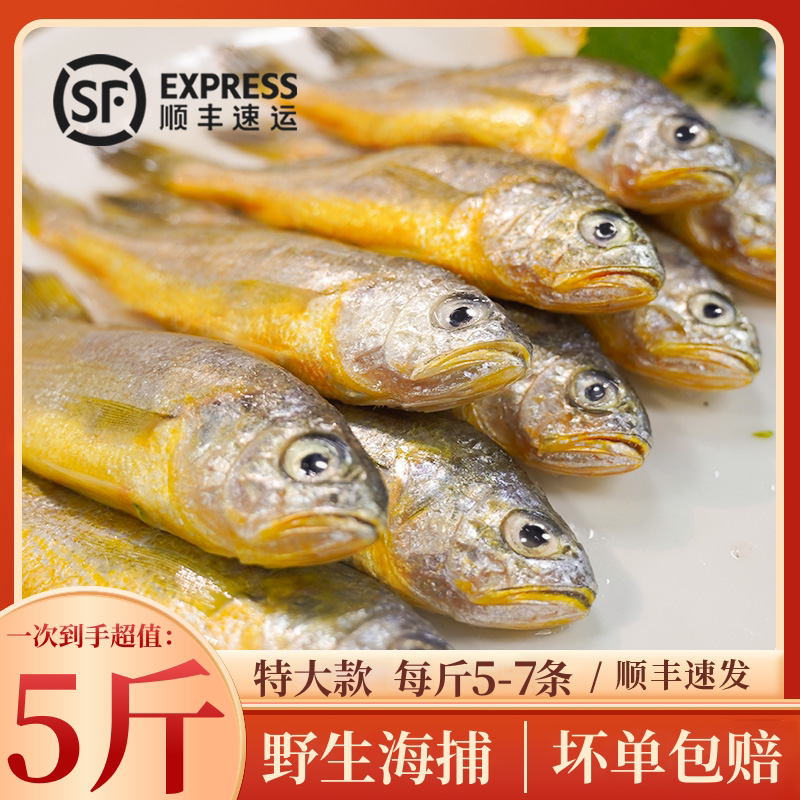 宁波小黄鱼海鲜烧烤黄鱼鲞商用
