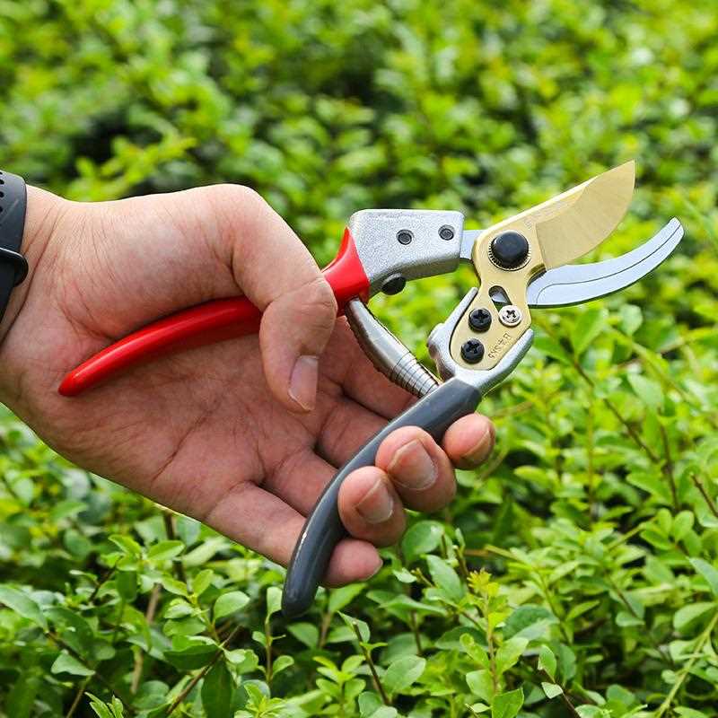 直销新款货源供应828镀钛果枝剪Sk5剪刀花艺修剪树枝剪刀粗枝剪