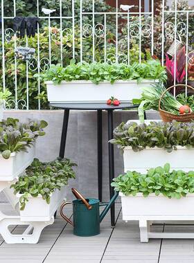 特大号AL100467花盆家塑料种菜箱花箱长方形层多花架阳台菜用子架