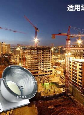 吊灯建筑工鳍片塔吊之星4w00w500w8001000w1塔500w2000w工地施照