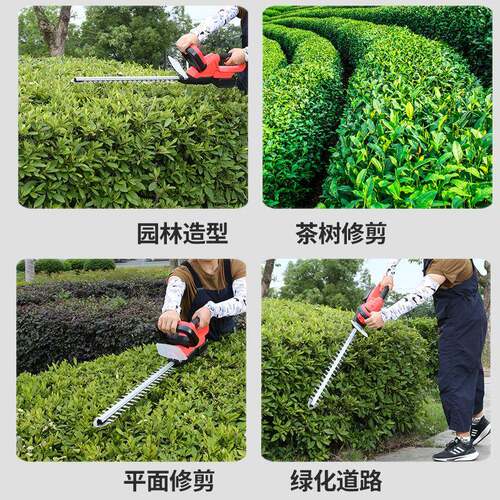 园QGF充林修枝电式绿篱机锂电采茶机草用割修剪便携式修剪机农器