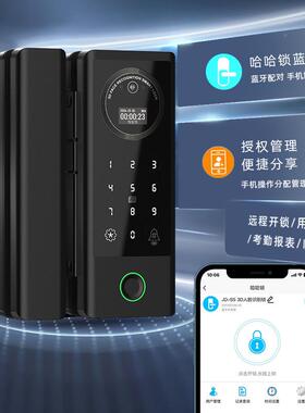 人脸别识密码HGS5锁办公室电子锁能门锁双开玻璃小门智电子锁带屏