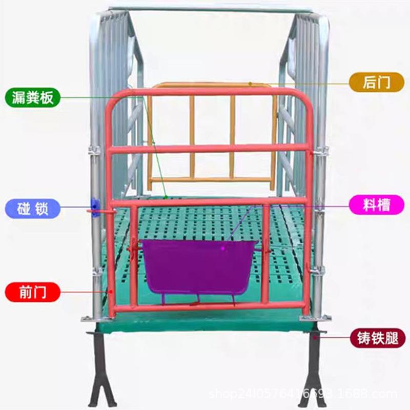 母位猪定热镀锌母猪限位栏落育位肥猪用猪圈CNZ栏复合栏漏粪板
