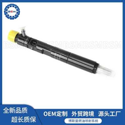 德尔福 EJBR00101D 喷油器总成R00101D 喷油嘴总成